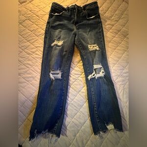 Willow and Root Distressed Blue Jeans for Women